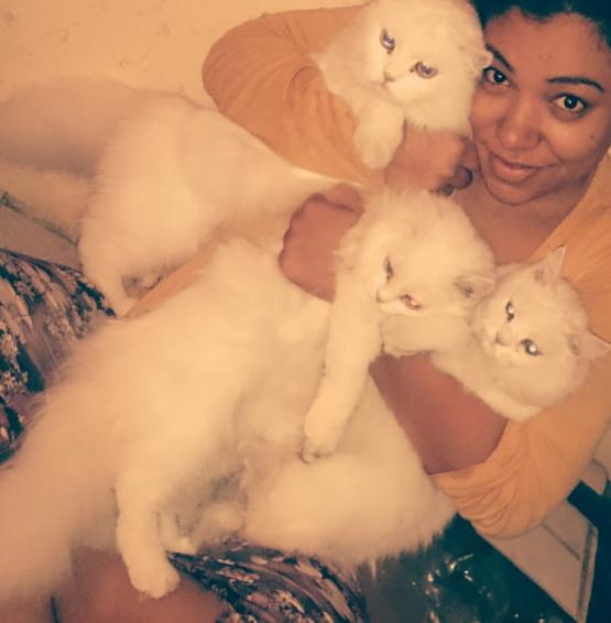 The WhatsApp conversations